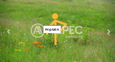 Парцел/Терен, Пловдив, Прослав, 652289, Снимка 3