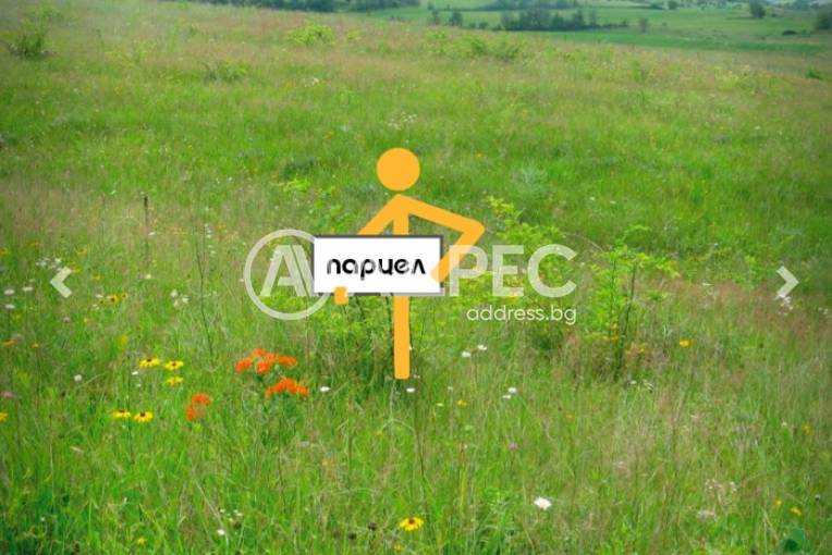 Парцел/Терен, Пловдив, Прослав, 652289, Снимка 3