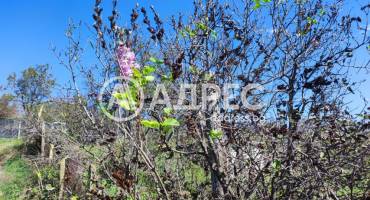 Парцел/Терен, Аксаково, ПЗ Аксаково, 681302, Снимка 2