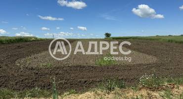 Парцел/Терен, Русе, Чародейка юг, 700306, Снимка 2