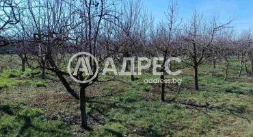 Къща/Вила, Ловско, 687309, Снимка 5