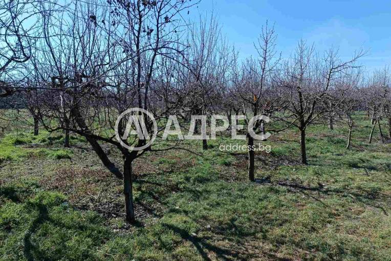 Къща/Вила, Ловско, 687309, Снимка 5