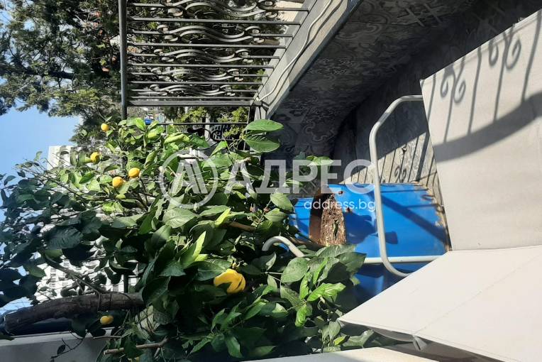 Офис, София, Павлово, 691313, Снимка 1