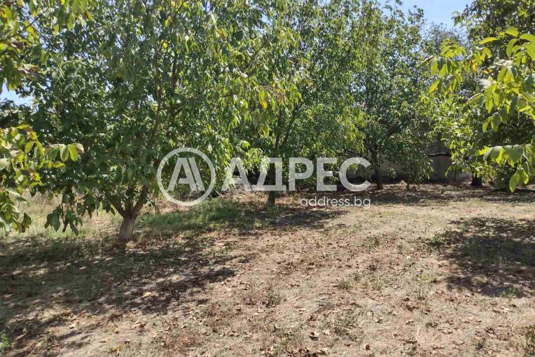 Къща/Вила, Бояджик, 661317, Снимка 4