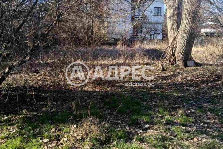 Парцел/Терен, Иваняне, 687318, Снимка 1