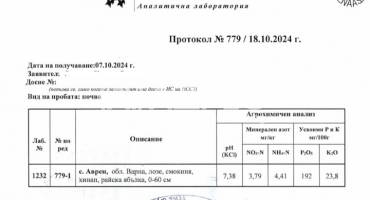 Земеделска земя, Бенковски, 673319, Снимка 3