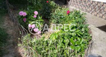 Къща/Вила, Плевен, ВМИ, 674320, Снимка 10