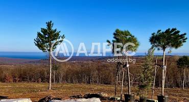 Къща/Вила, Приселци, 661321, Снимка 6