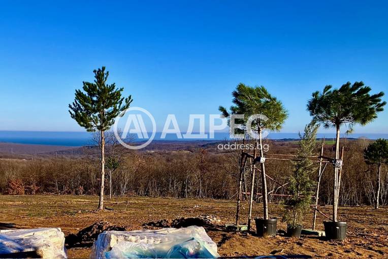 Къща/Вила, Приселци, 661321, Снимка 6