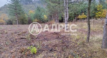 Парцел/Терен, Венковец, 696321, Снимка 1