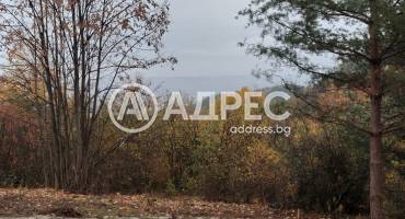 Парцел/Терен, Венковец, 696321, Снимка 3