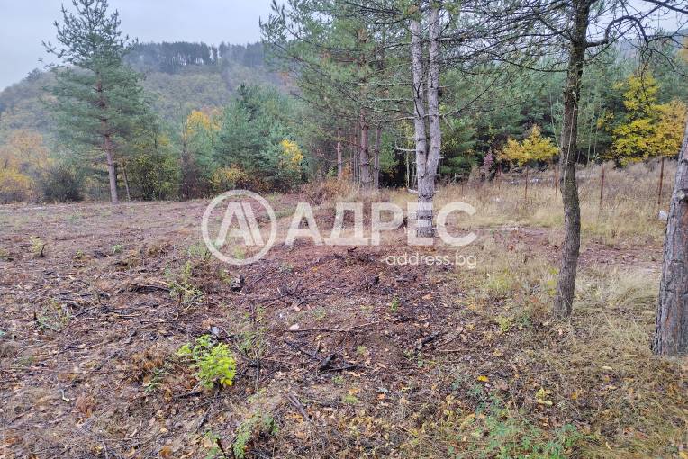 Парцел/Терен, Венковец, 696321, Снимка 1
