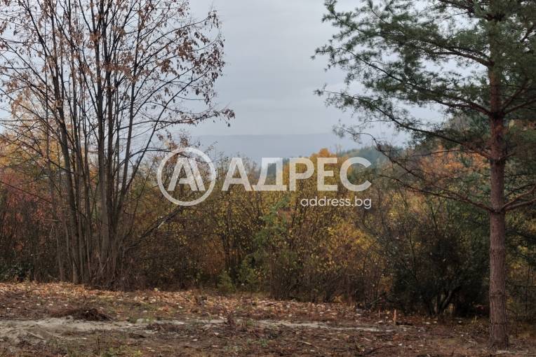 Парцел/Терен, Венковец, 696321, Снимка 3