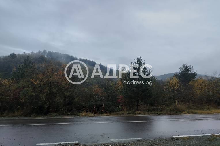 Парцел/Терен, Венковец, 696321, Снимка 4