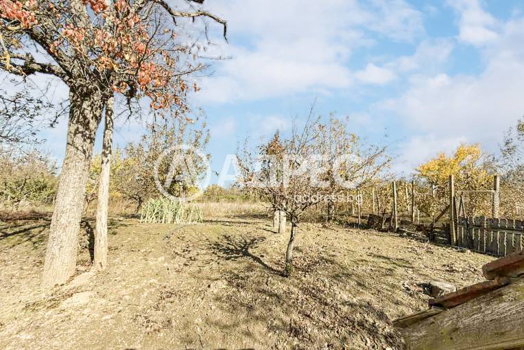 Къща/Вила, Бръшляница, 674322, Снимка 15