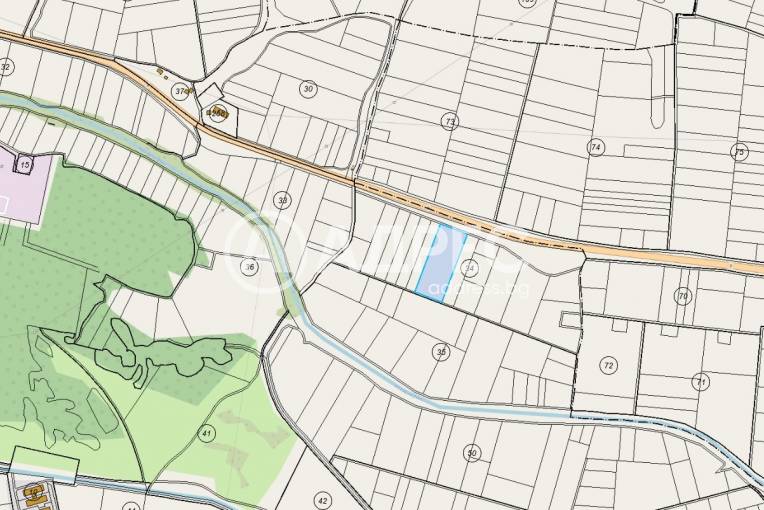 Земеделска земя, Стамболийски, 678325, Снимка 2