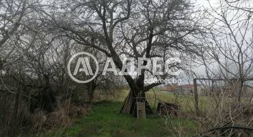 Къща/Вила, Козарево, 669326, Снимка 15