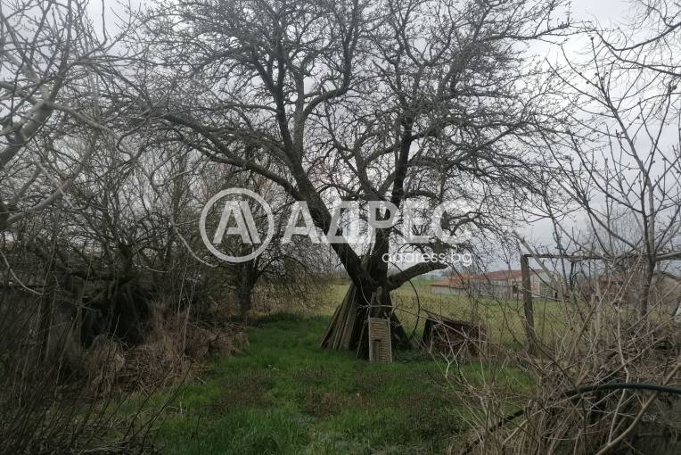 Къща/Вила, Козарево, 669326, Снимка 15