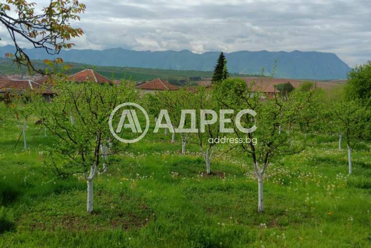 Парцел/Терен, Лиляче, 681329, Снимка 1