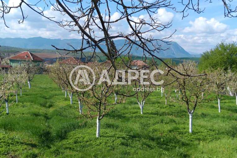 Парцел/Терен, Лиляче, 681329, Снимка 2