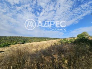 Цех/Склад, Люляк, 666339, Снимка 1