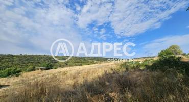 Парцел/Терен, Люляк, 666340, Снимка 4