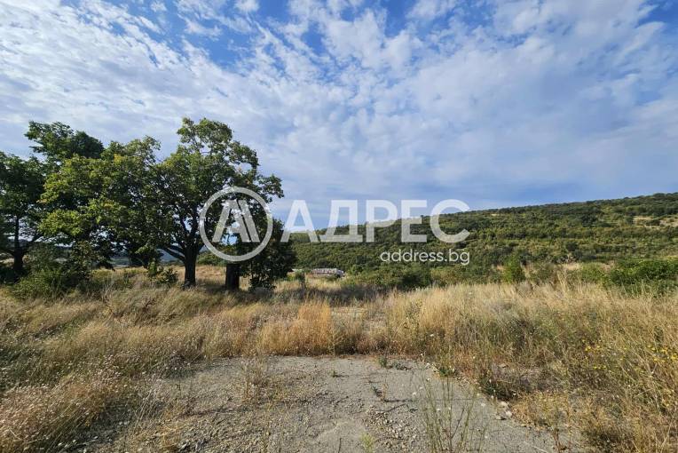 Парцел/Терен, Люляк, 666340, Снимка 1