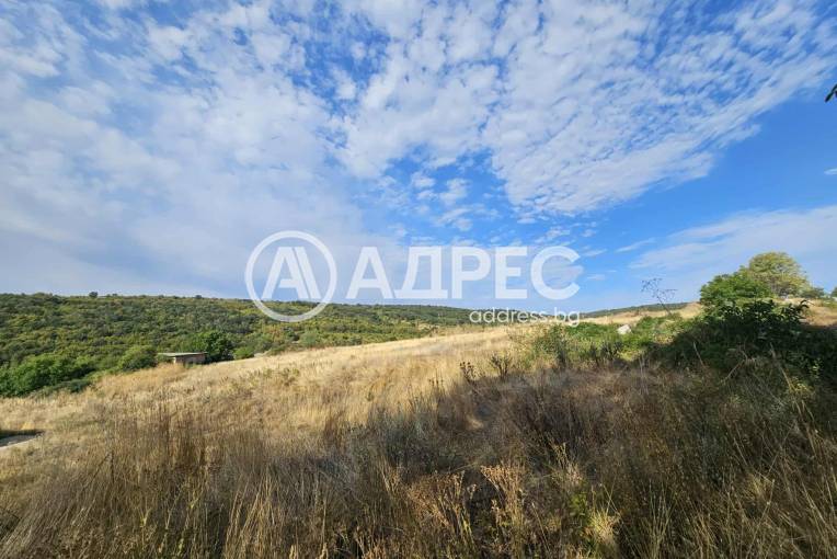 Парцел/Терен, Люляк, 666340, Снимка 4