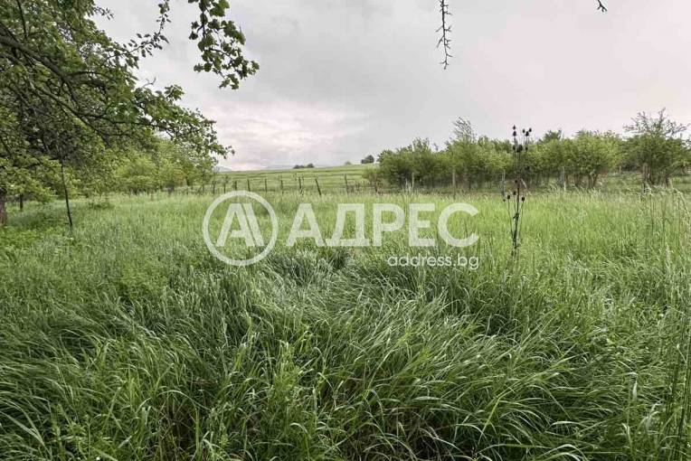 Къща/Вила, Врабево, 695342, Снимка 21