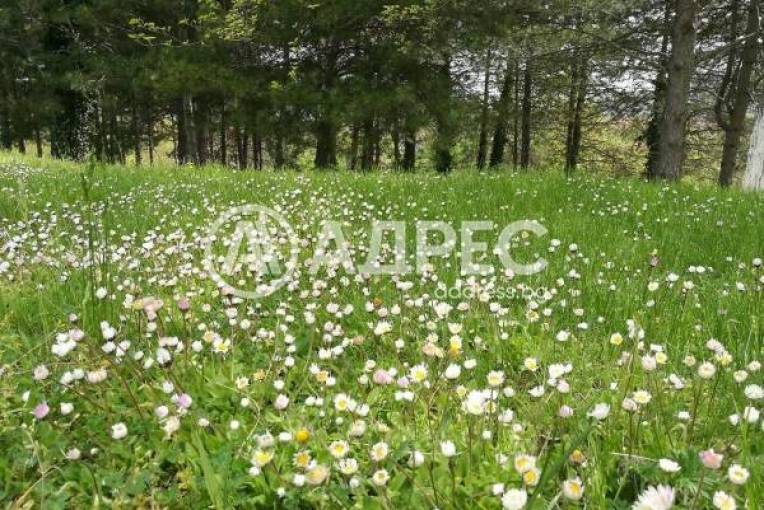 Хотел/Мотел, Аспарухово, 640350, Снимка 20