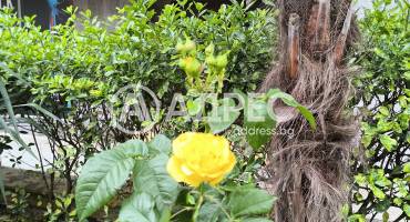 Двустаен апартамент, Бургас, комплекс Перла, 618352, Снимка 14