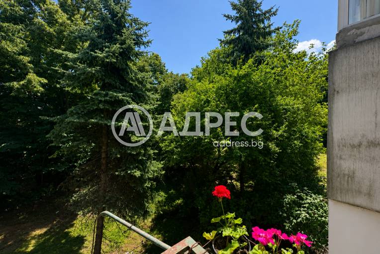 Гарсониера, София, Свобода, 701356, Снимка 1