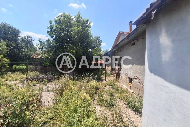 Парцел/Терен, Долна Митрополия, 701363, Снимка 1