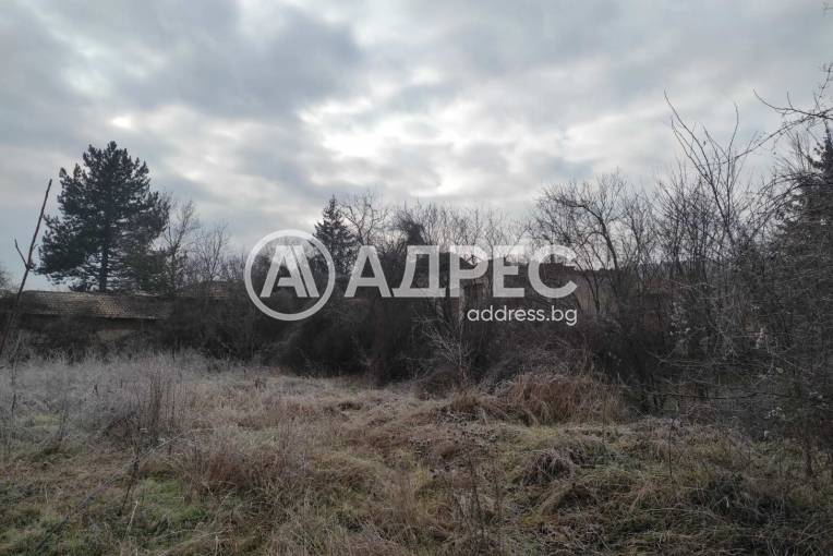 Гараж, Дряновец, 644369, Снимка 3