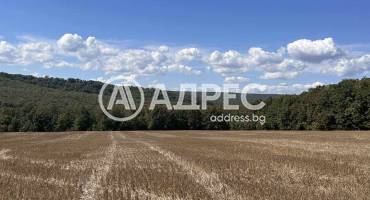 Парцел/Терен, Юнец, 668369, Снимка 2