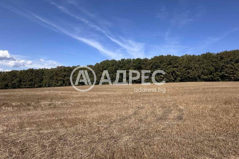 Парцел/Терен, Юнец, 668369, Снимка 1