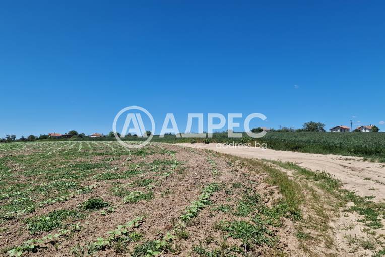 Парцел/Терен, Здравец, 655374, Снимка 2