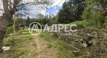 Парцел/Терен, Писанец, 635377, Снимка 1