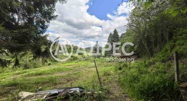 Парцел/Терен, Писанец, 635377, Снимка 4