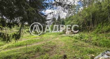 Парцел/Терен, Писанец, 635377, Снимка 6