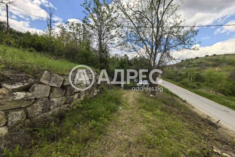 Парцел/Терен, Писанец, 635377, Снимка 2