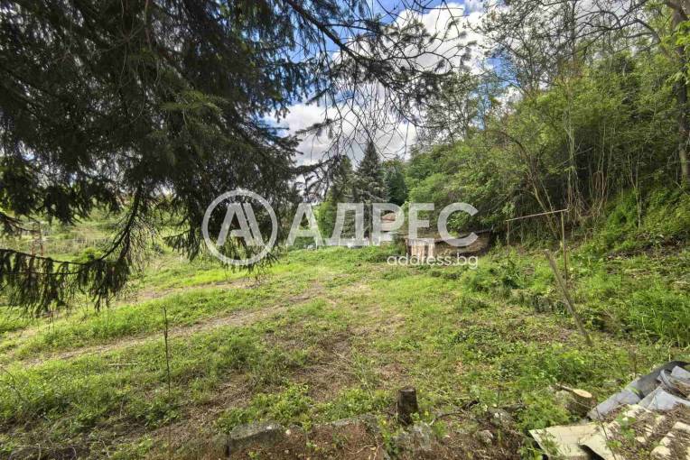 Парцел/Терен, Писанец, 635377, Снимка 6