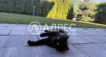 Къща/Вила, София, Драгалевци, 657379, Снимка 22