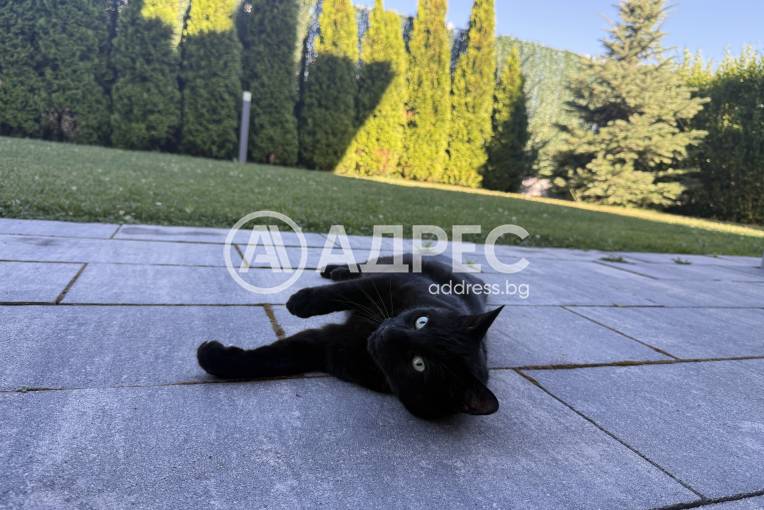 Къща/Вила, София, Драгалевци, 657379, Снимка 22