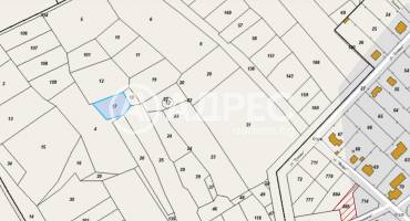 Земеделска земя, Близнаци, Тумбата, 666381, Снимка 2