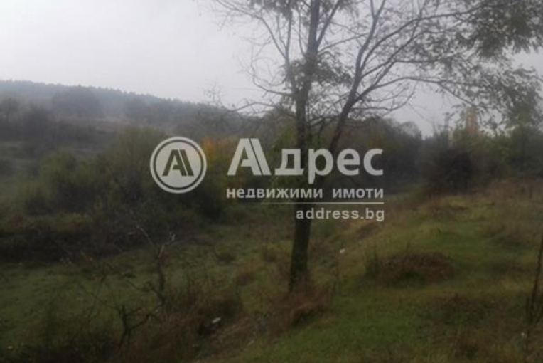 Парцел/Терен, Ягода, 341383, Снимка 1