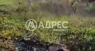 Парцел/Терен, Константиново, 676384, Снимка 4