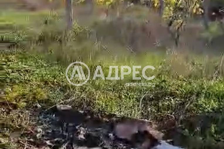 Парцел/Терен, Константиново, 676384, Снимка 4