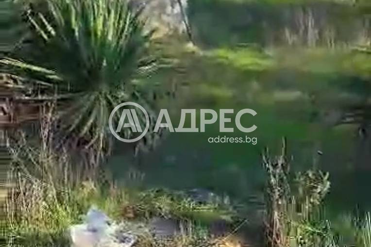 Парцел/Терен, Константиново, 676384, Снимка 5