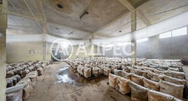 Цех/Склад, Плевен, Индустриална зона, 679398, Снимка 1